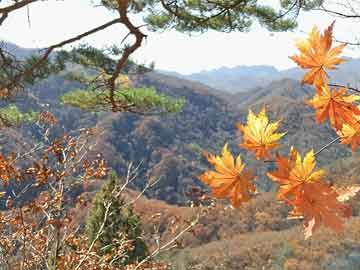 江苏大部分地区实现生育津贴“免申即享”，直接发到个人账户